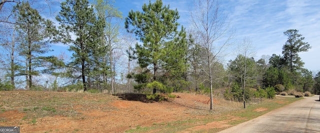 Listing photo 2 for 334 Edgewater Trl S, Toccoa GA 30577