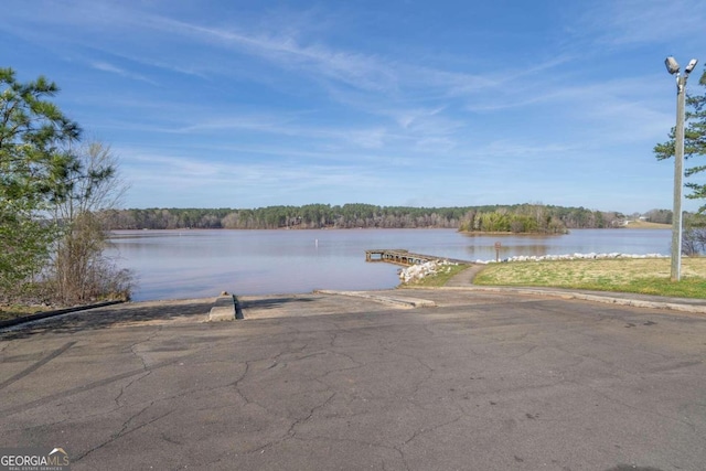 property view of water with a dock