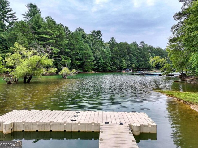 dock area featuring a water view