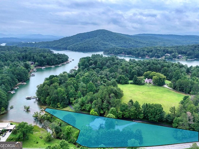 drone / aerial view with a water and mountain view