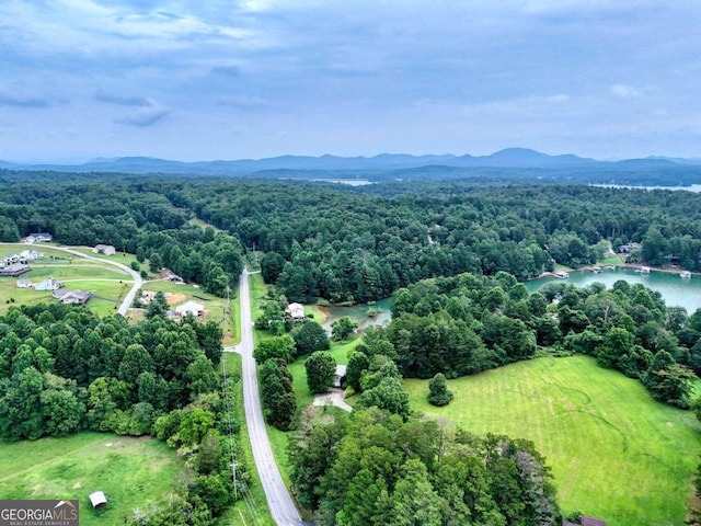 birds eye view of property featuring a water and mountain view