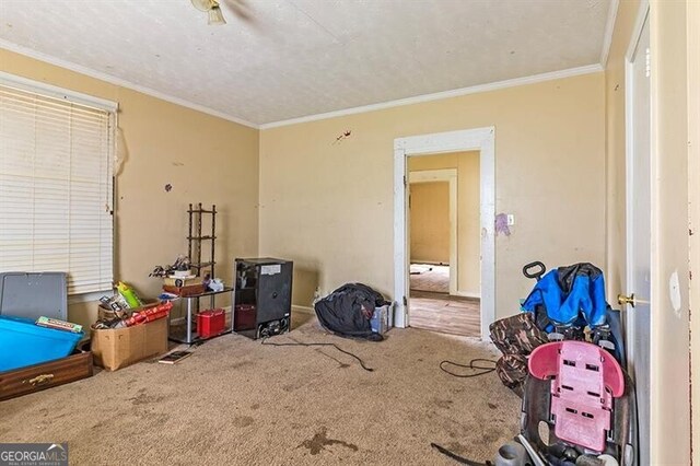 miscellaneous room with ornamental molding and carpet