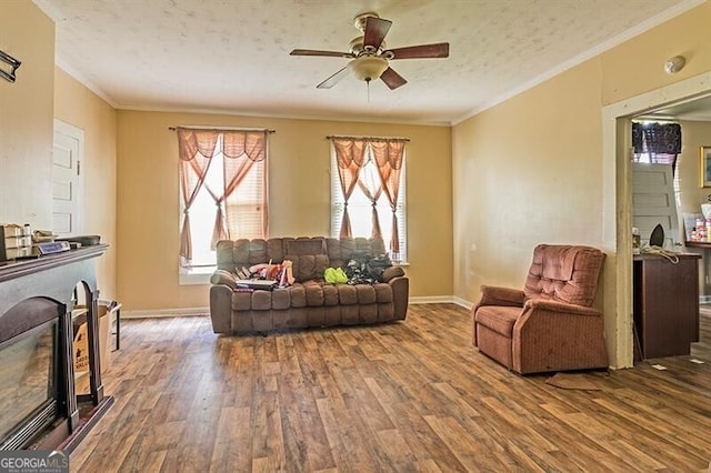 living room with plenty of natural light and hardwood / wood-style flooring