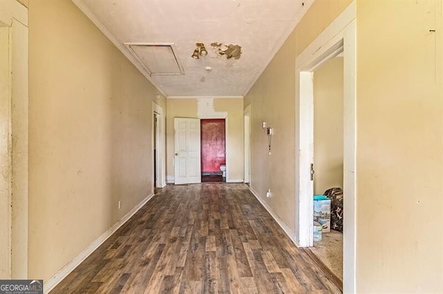 hallway with dark hardwood / wood-style flooring