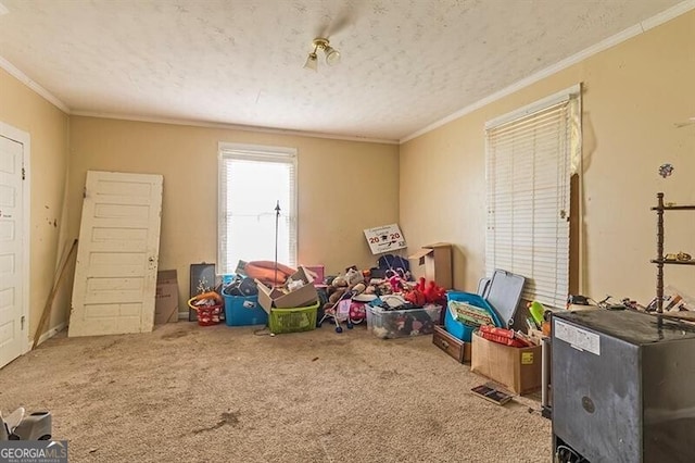 rec room featuring ornamental molding, carpet, and a textured ceiling