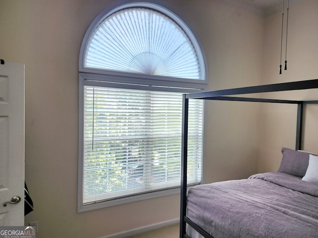 bedroom with multiple windows