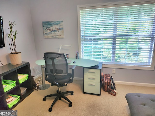 home office with carpet floors