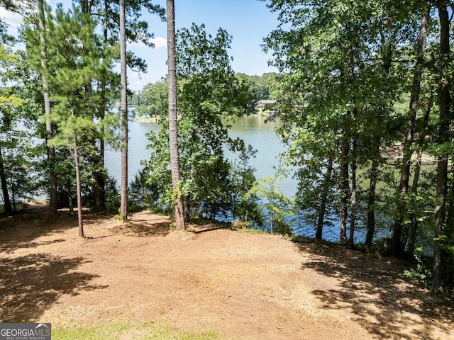 view of water feature