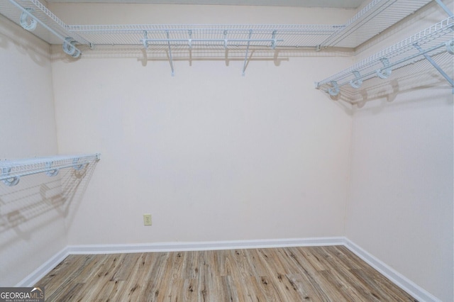 spacious closet with hardwood / wood-style flooring