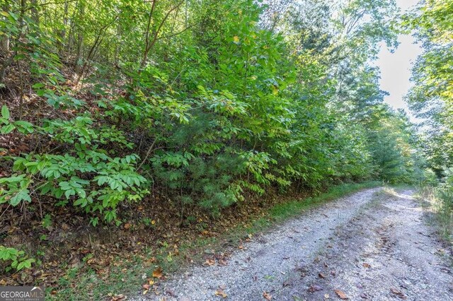 L2 Crab Apple, Blairsville GA, 30512 land for sale