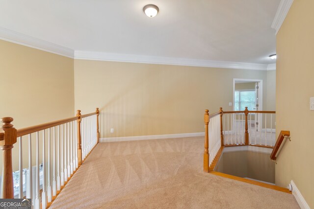 hallway featuring light carpet and crown molding