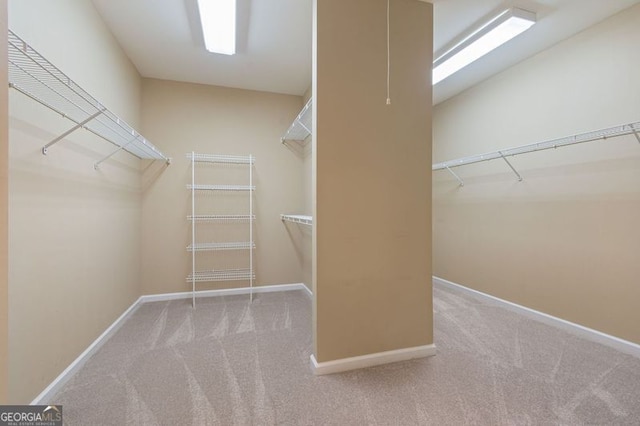 walk in closet featuring a skylight and carpet flooring