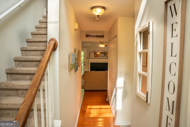 stairs with hardwood / wood-style flooring