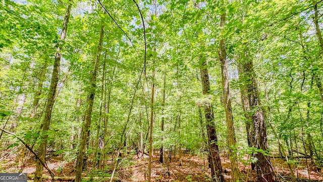 0 Potato Creek Rd, The Rock GA, 30285 land for sale