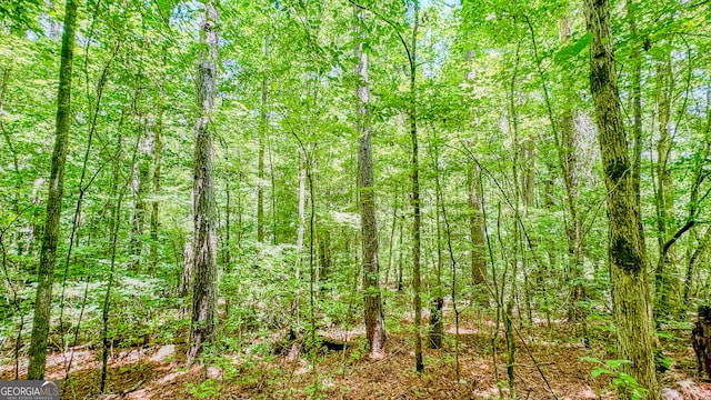 Listing photo 3 for 0 Potato Creek Rd, The Rock GA 30285