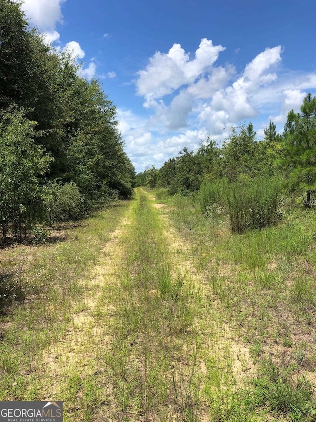 0 Buckeye Rd, East Dublin GA, 31027 land for sale