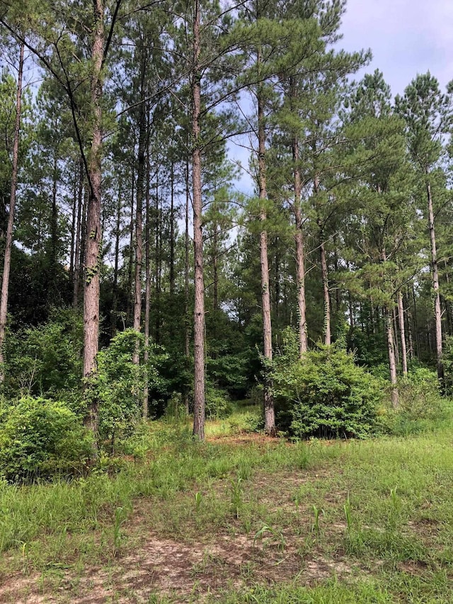 0 Little Sandy Rd, Toomsboro GA, 31090 land for sale