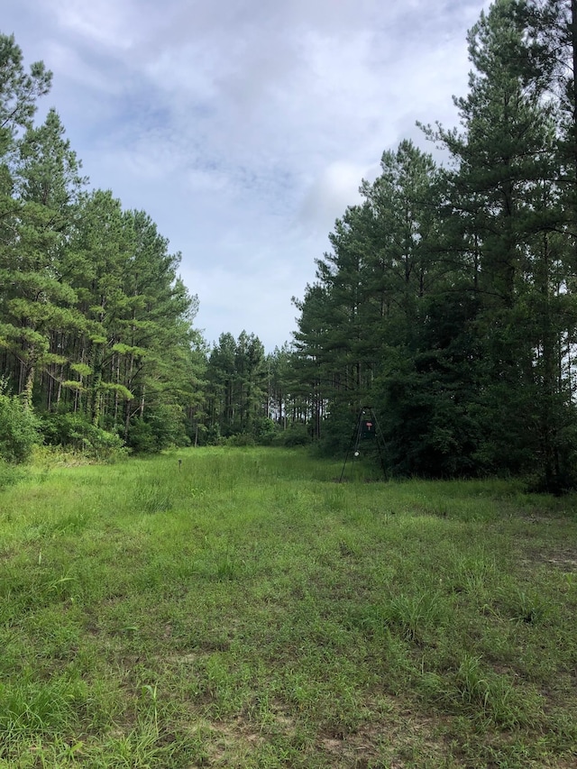 Listing photo 3 for 0 Little Sandy Rd, Toomsboro GA 31090