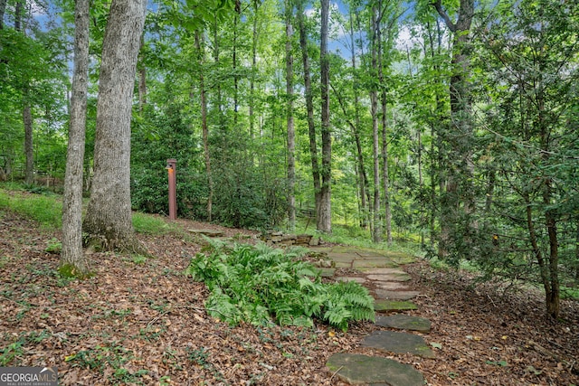 view of local wilderness