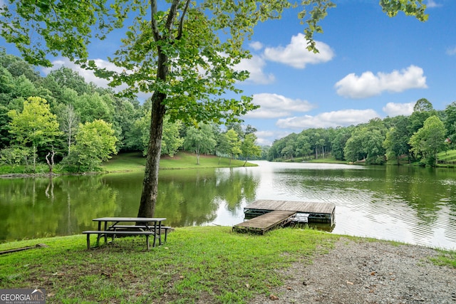 dock area with a water view