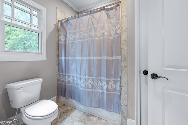 bathroom featuring vanity, toilet, and hardwood / wood-style floors