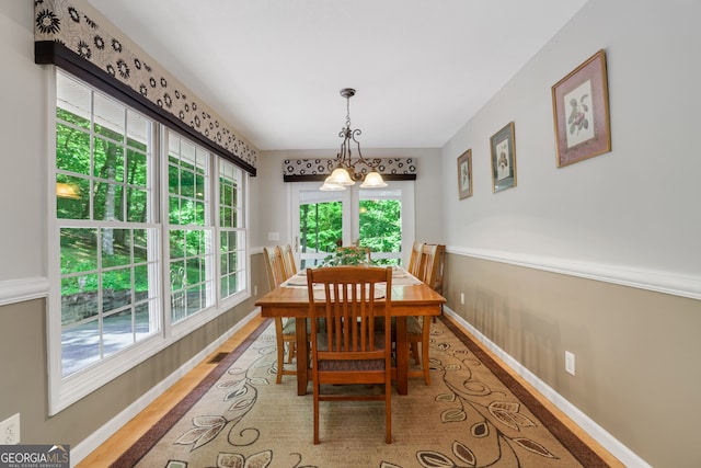 dining room featuring a healthy amount of sunlight and hardwood / wood-style flooring