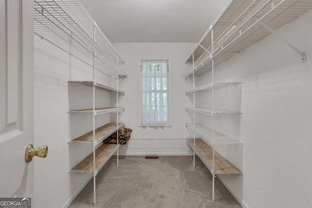 walk in closet featuring carpet flooring