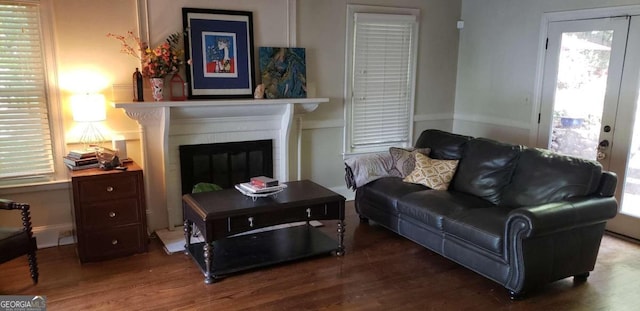 living room with a fireplace and hardwood / wood-style floors