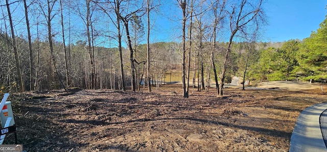 42 Lookout Pt, Toccoa GA, 30577 land for sale