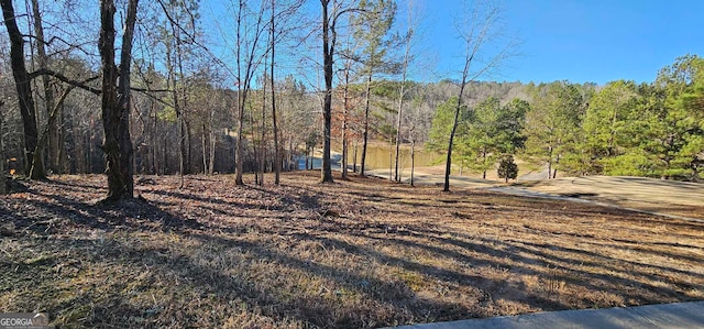 Listing photo 3 for 42 Lookout Pt, Toccoa GA 30577