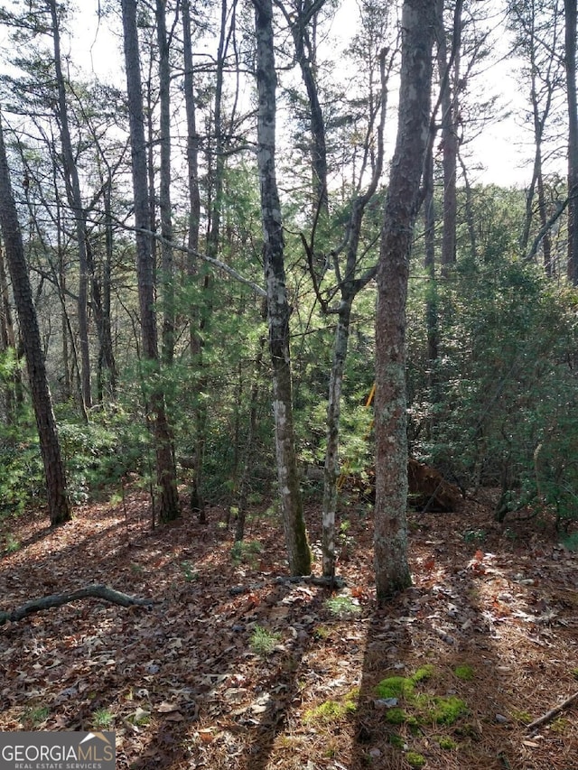 Listing photo 3 for 0 Pine Knl, Sautee Nacoochee GA 30571