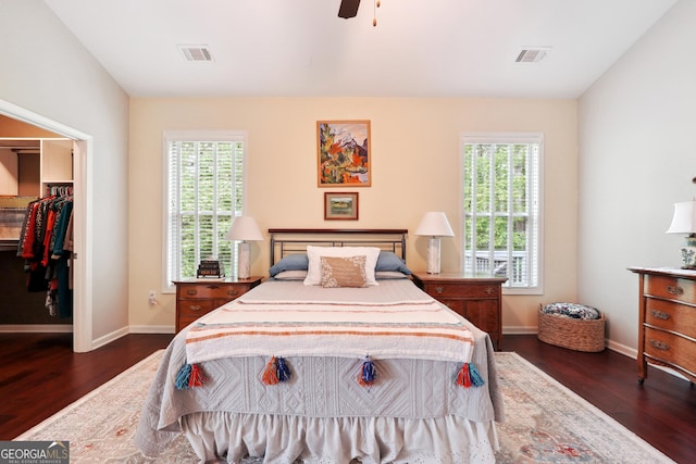 bedroom featuring ceiling fan, a spacious closet, dark hardwood / wood-style flooring, and a closet