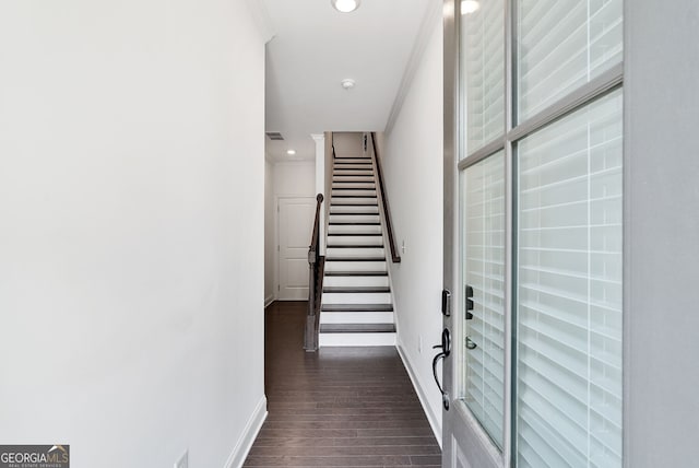 corridor featuring ornamental molding and dark hardwood / wood-style floors