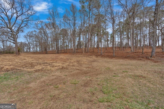 Listing photo 3 for 0 Cave Springs Rd, Cedartown GA 30125