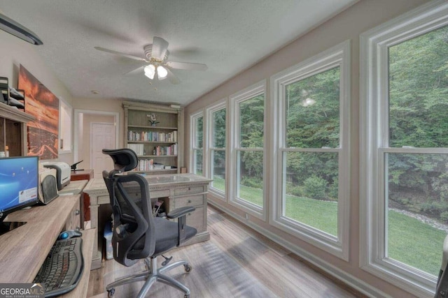 home office with light wood-type flooring, a textured ceiling, and ceiling fan