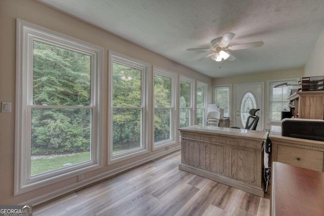 office with ceiling fan, plenty of natural light, and light hardwood / wood-style flooring