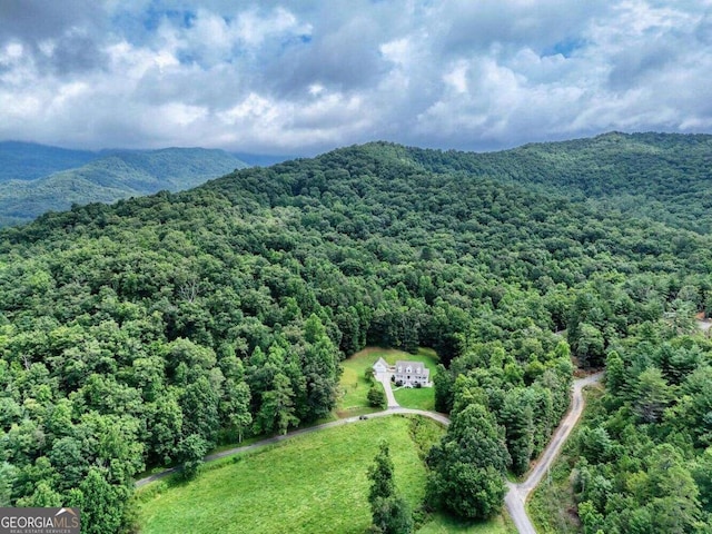 birds eye view of property featuring a mountain view