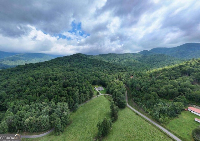 drone / aerial view with a mountain view