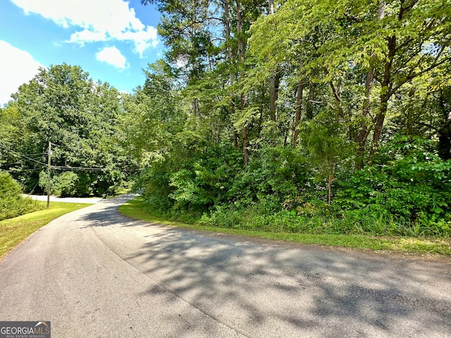 892 Lakeside Trl, Martin GA, 30557 land for sale