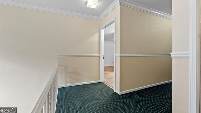 spacious closet featuring carpet flooring