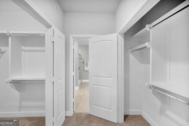 walk in closet with light colored carpet