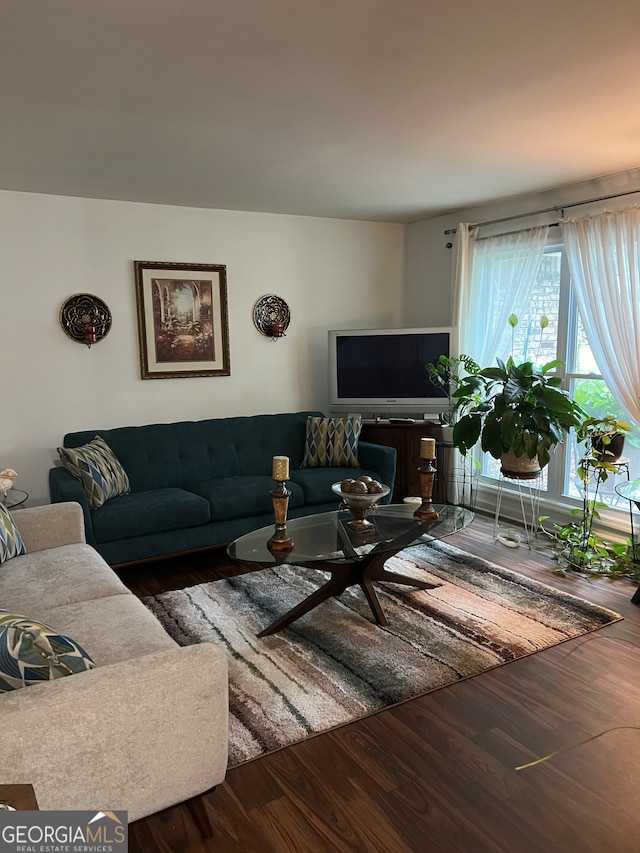 living room featuring dark wood-type flooring