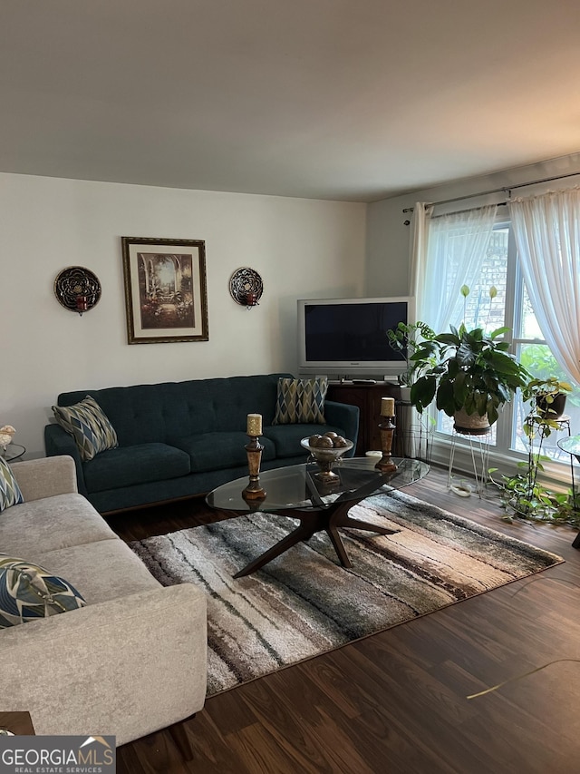 living area featuring wood finished floors