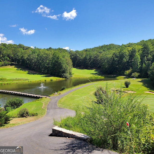 664 Bahn Innsbruck Unit B-4, Helen, GA 30545 - surrounding community with a water view
