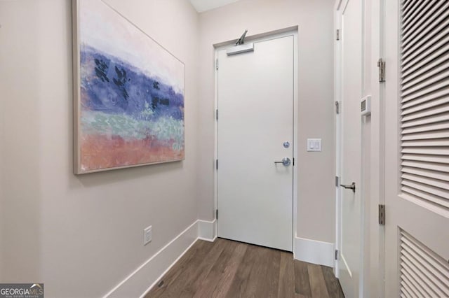 entryway featuring wood-type flooring