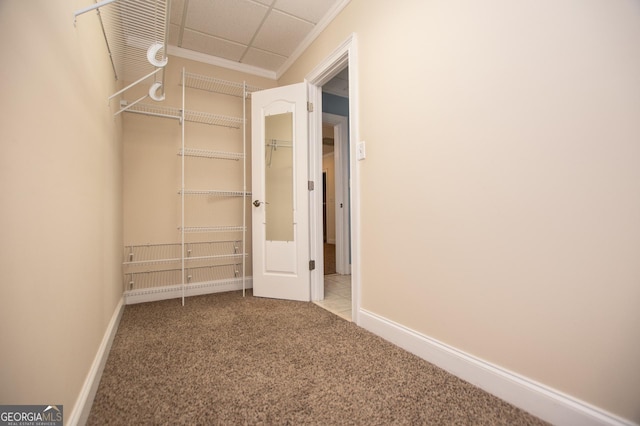 walk in closet featuring carpet and a drop ceiling