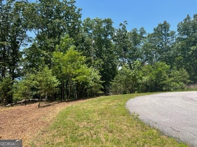 Listing photo 2 for LOT212 High Rock Trl, Cleveland GA 30528