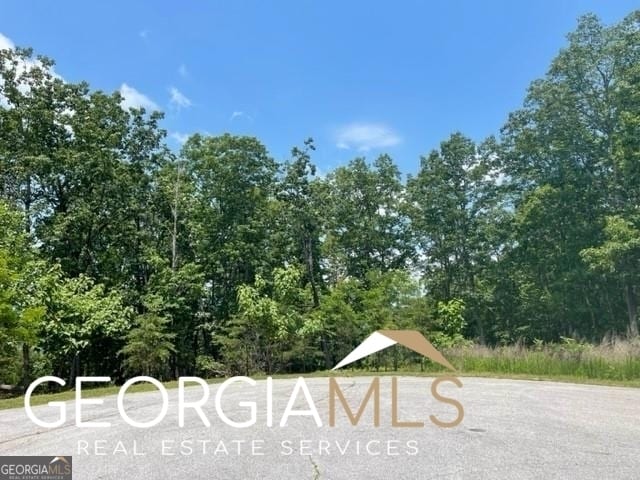 Listing photo 3 for LOT212 High Rock Trl, Cleveland GA 30528