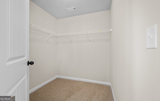 spacious closet featuring carpet floors