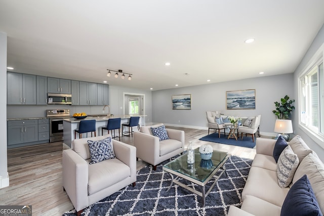 living room with sink and light hardwood / wood-style flooring